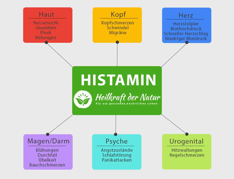 Histaminintoleranz Behandlung